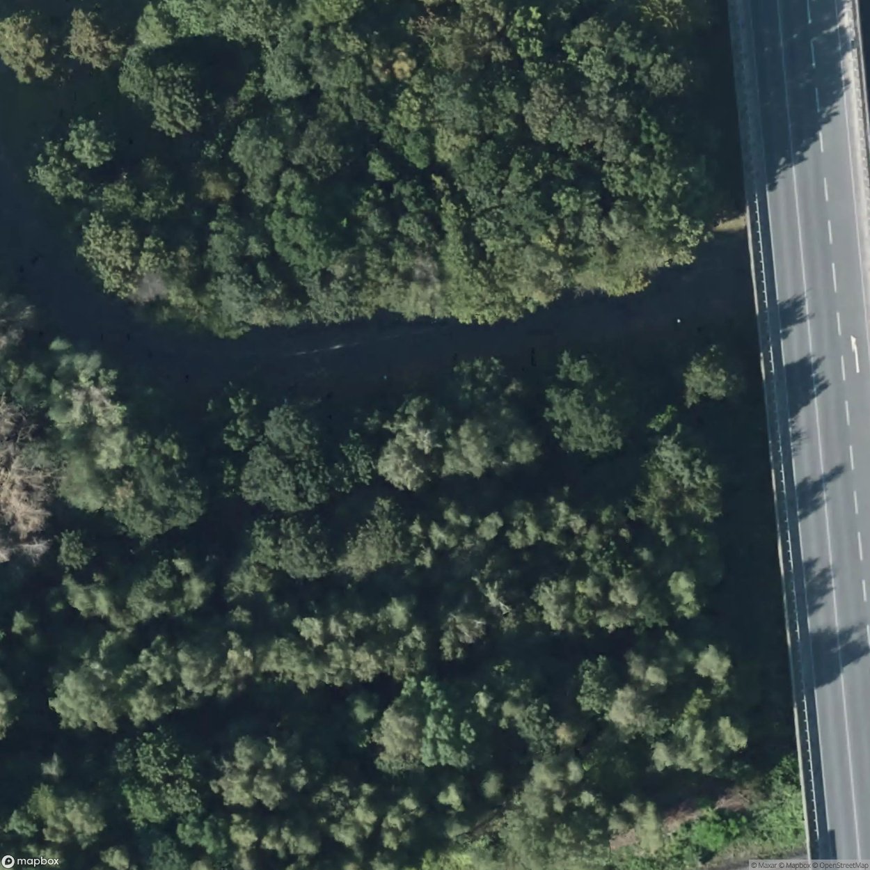 Watchtower Schelde [DEU]