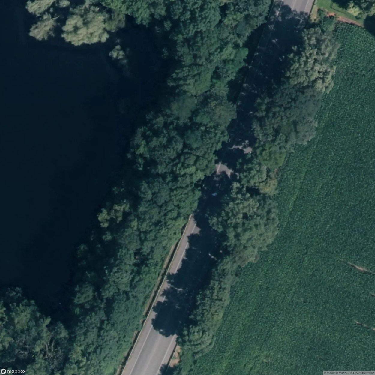 Lime Hole [GER] #18989