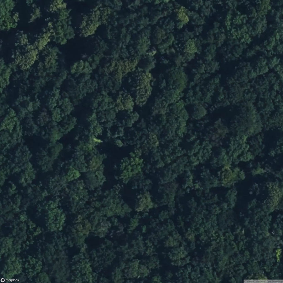 Knowle Wood Mine [GBR] #05921