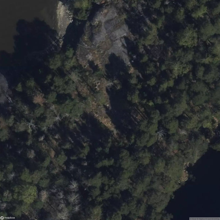 Tree Houses [FIN] #33656