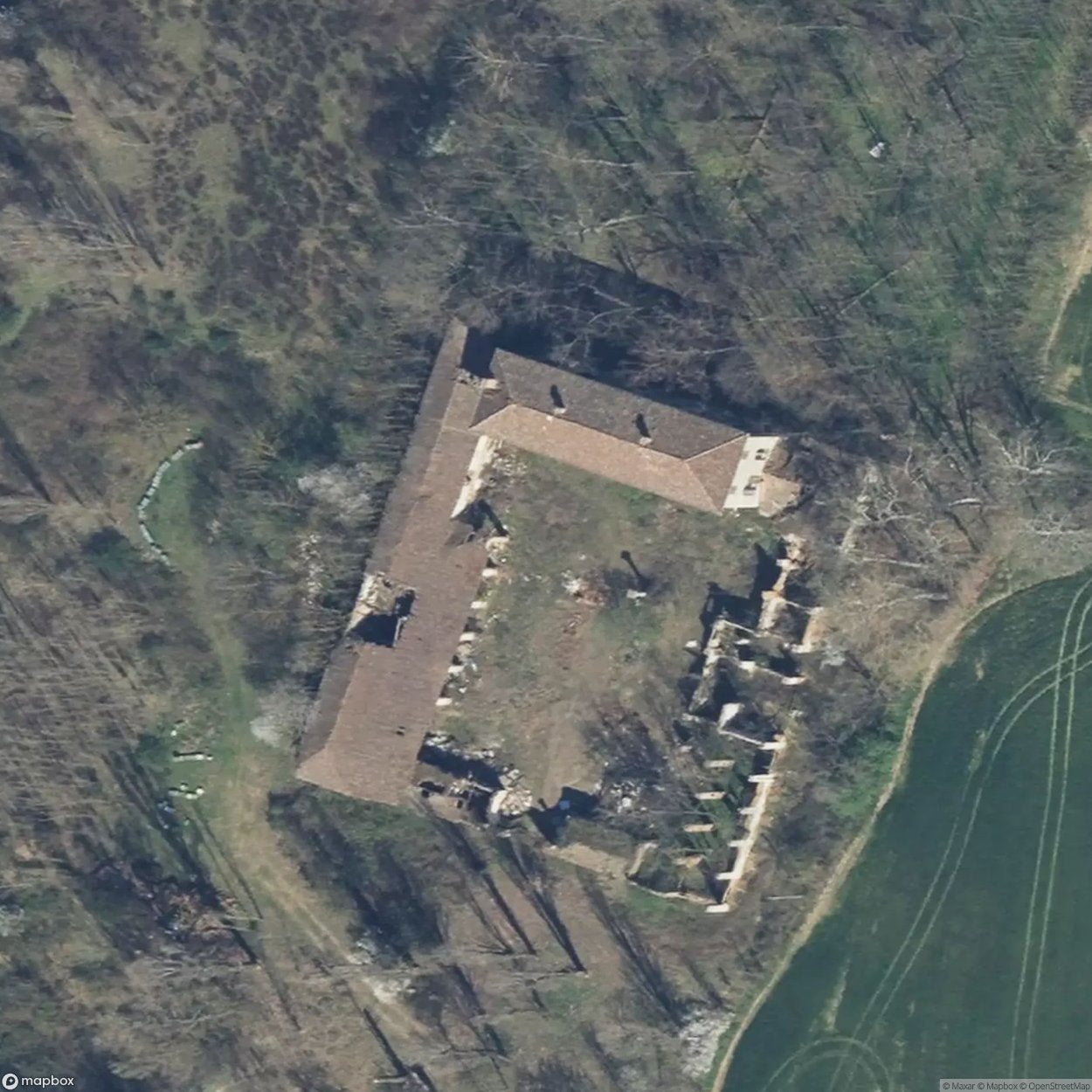 Zeche P [ITA] #10498