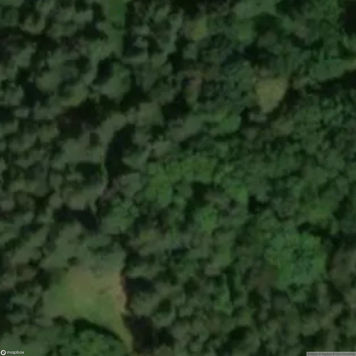 Historic Cemetery Old Cemetery Of The Erdman Family [POL] #35896