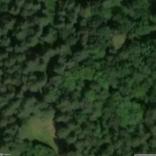 Historic Cemetery Old Cemetery Of The Erdman Family [POL] #35896