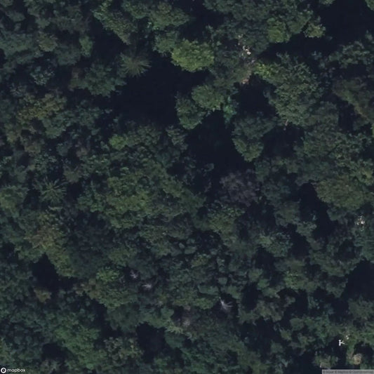 Building remains in Hamburg Volkspark [DEU]