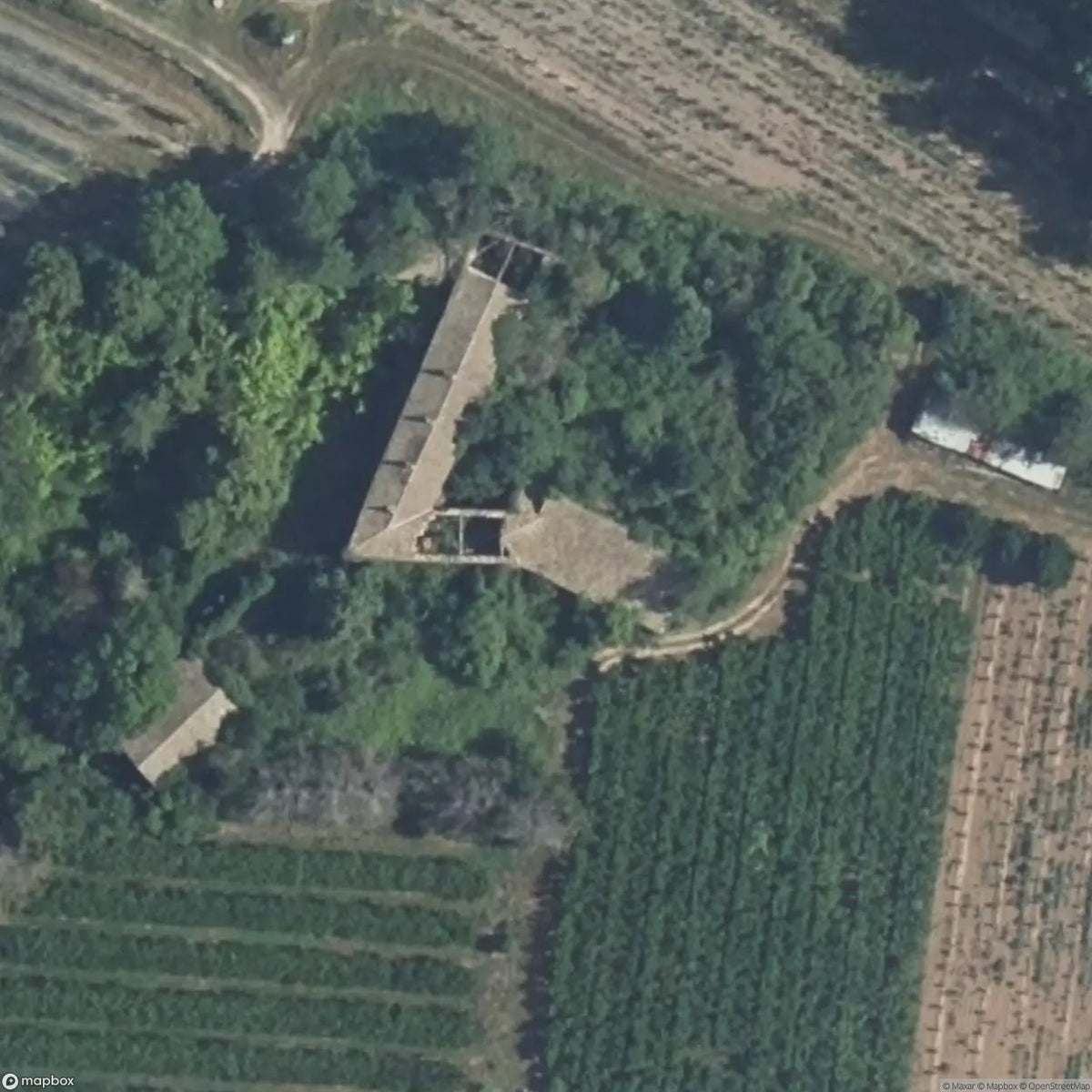Vineyards Manor [FRA] #33494