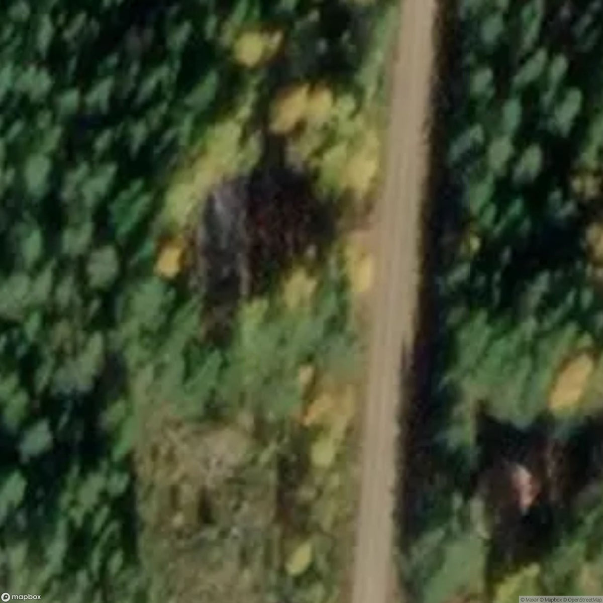 Hunting House Water [SWE] #33370
