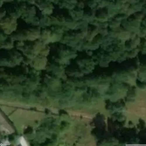 Historic Cemetery Historic German Cemetery [POL] #35897