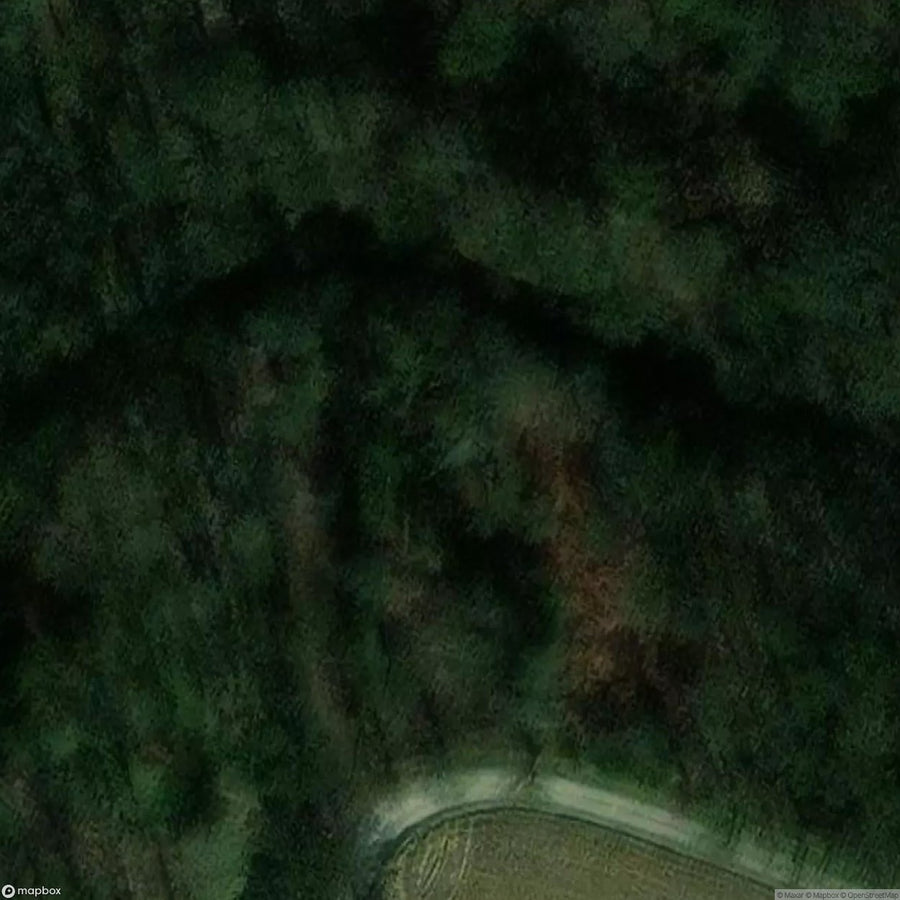 Fort De Cognelee [BEL] #04107