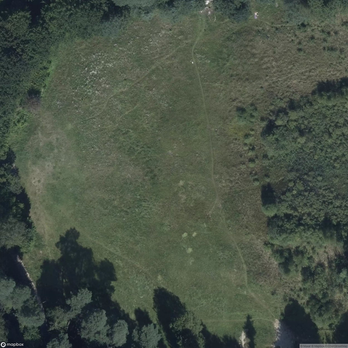 Ruins Of The Forest Stadium [POL] #418