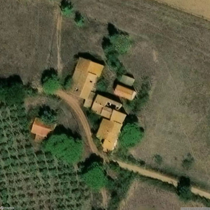 Farm Road [ITA] #32743