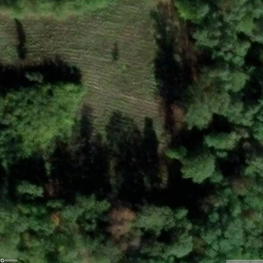 Site Military Buildings [POL] #32166