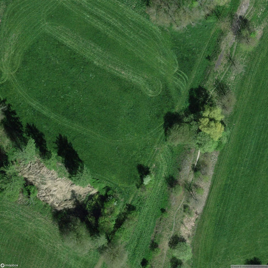 Tree Nursery Roggwil BE [CHE]