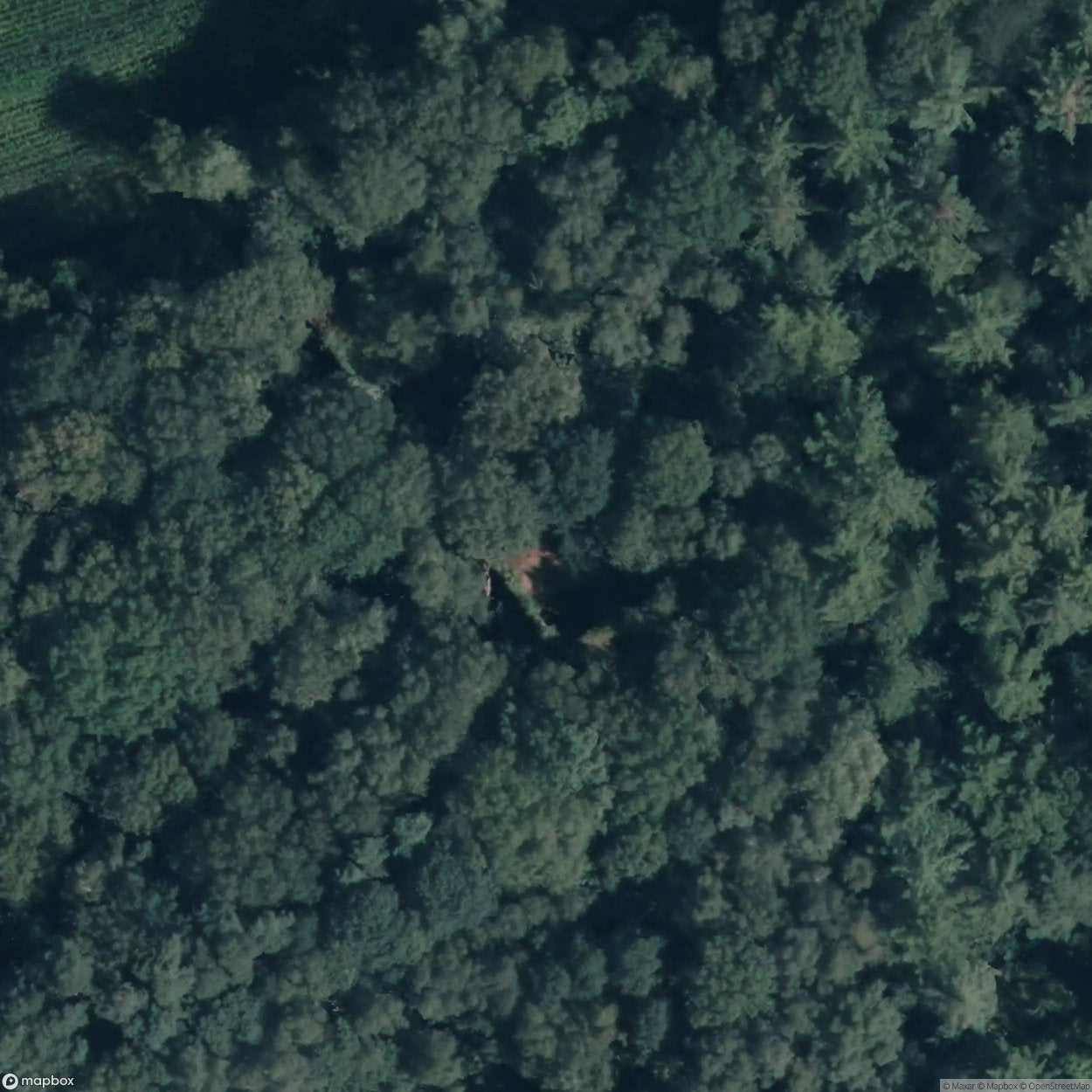 Zuydcoote Battery [DEU] #19037