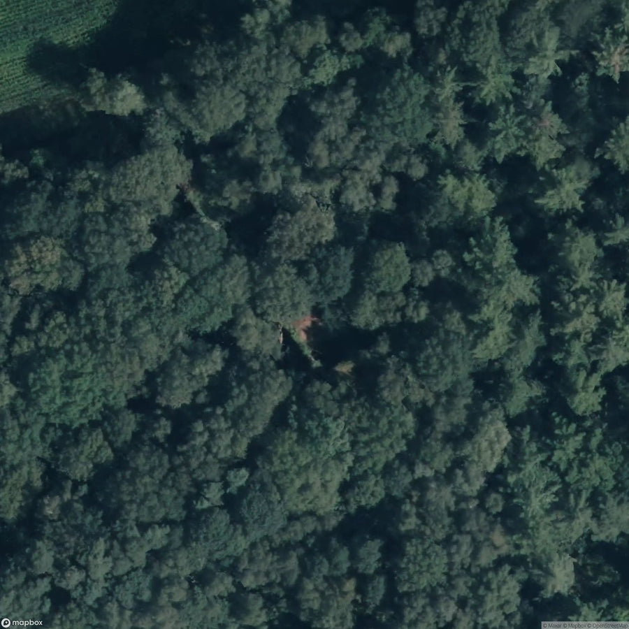 Zuydcoote Battery [DEU] #19037