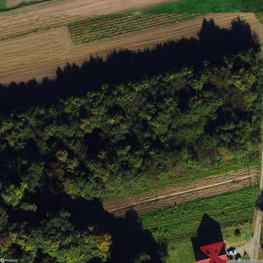 Site (Opuszczona Altanka Bibicach) [POL] #27656