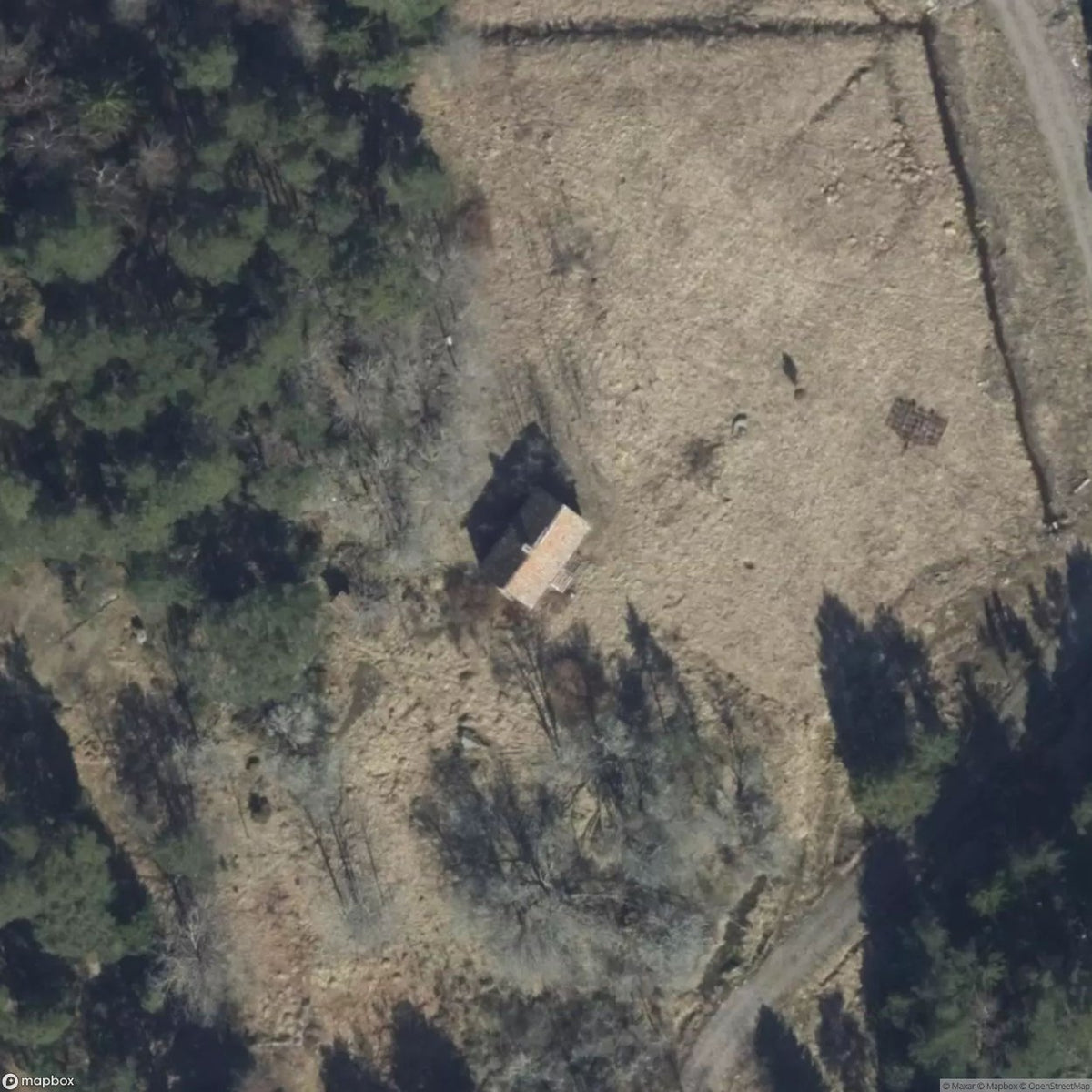 House [SWE] #33253