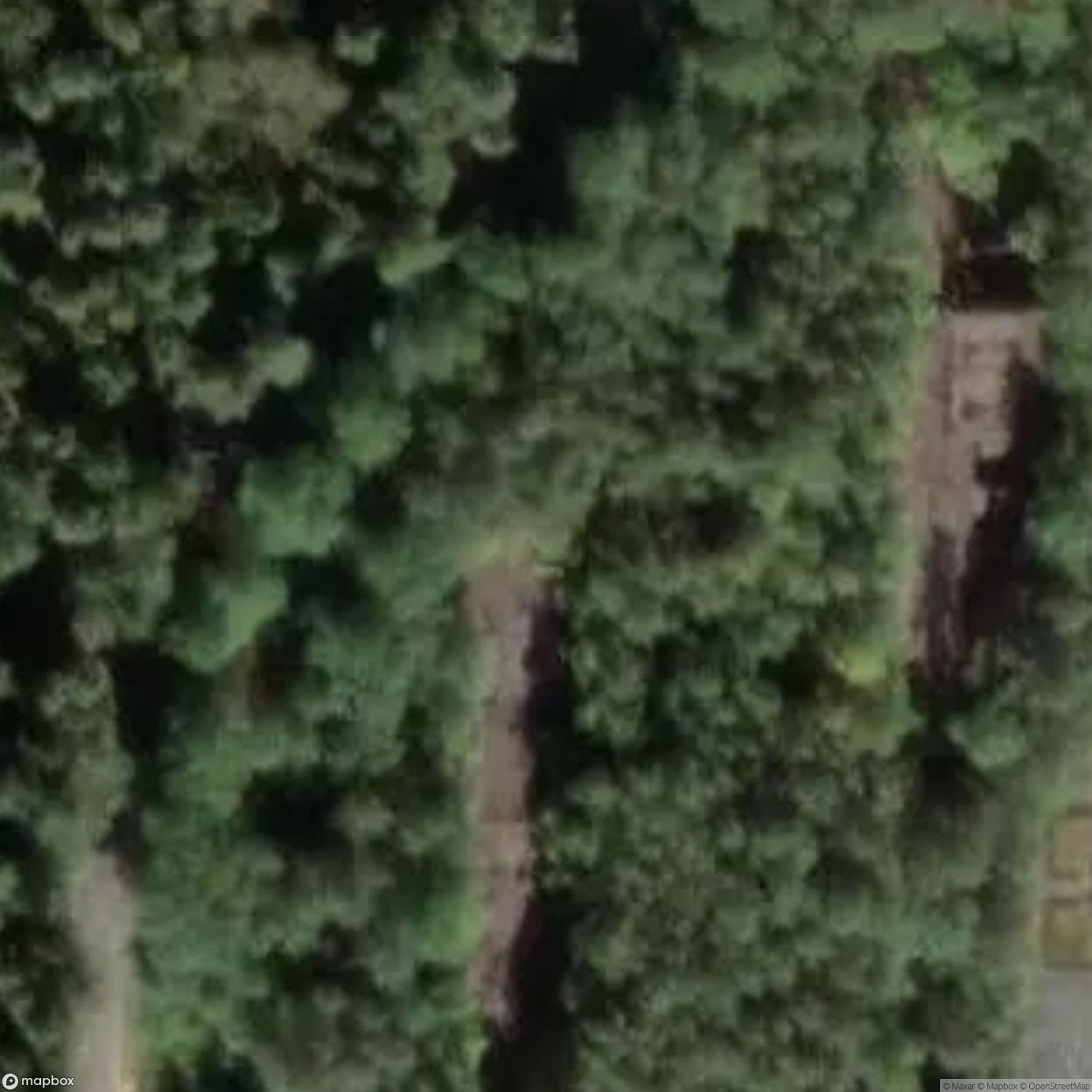 Sybillenbad Building Ruins [DEU]