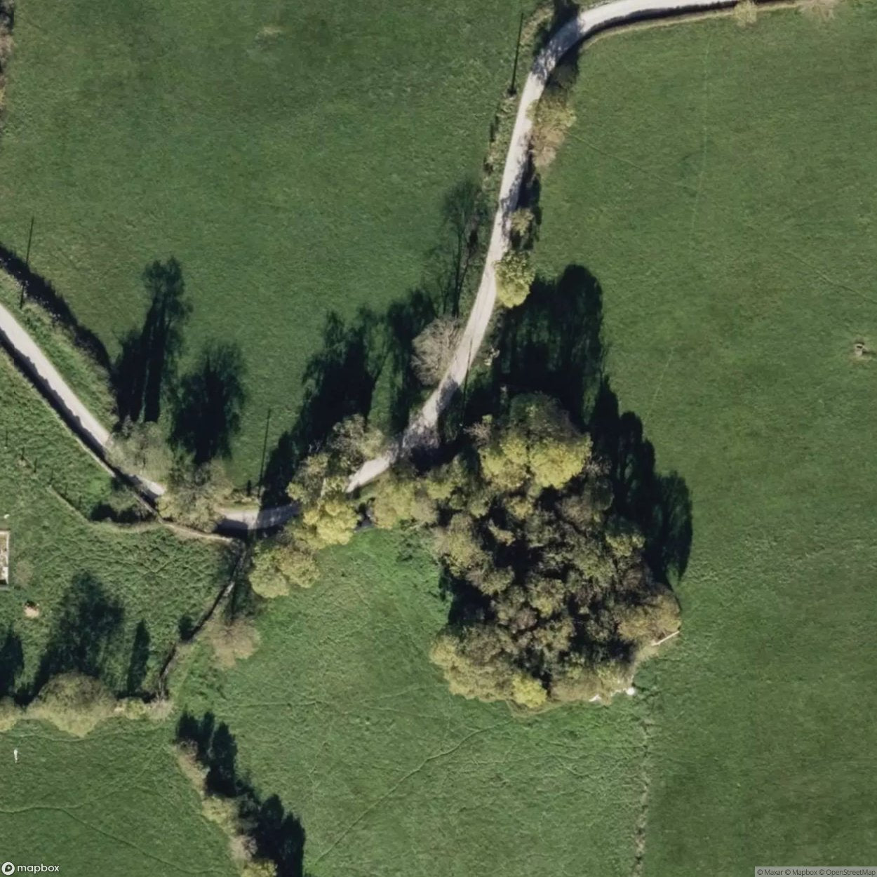 Graveyard of the Forgotten [ESP]