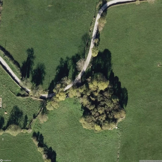 Graveyard of the Forgotten [ESP]