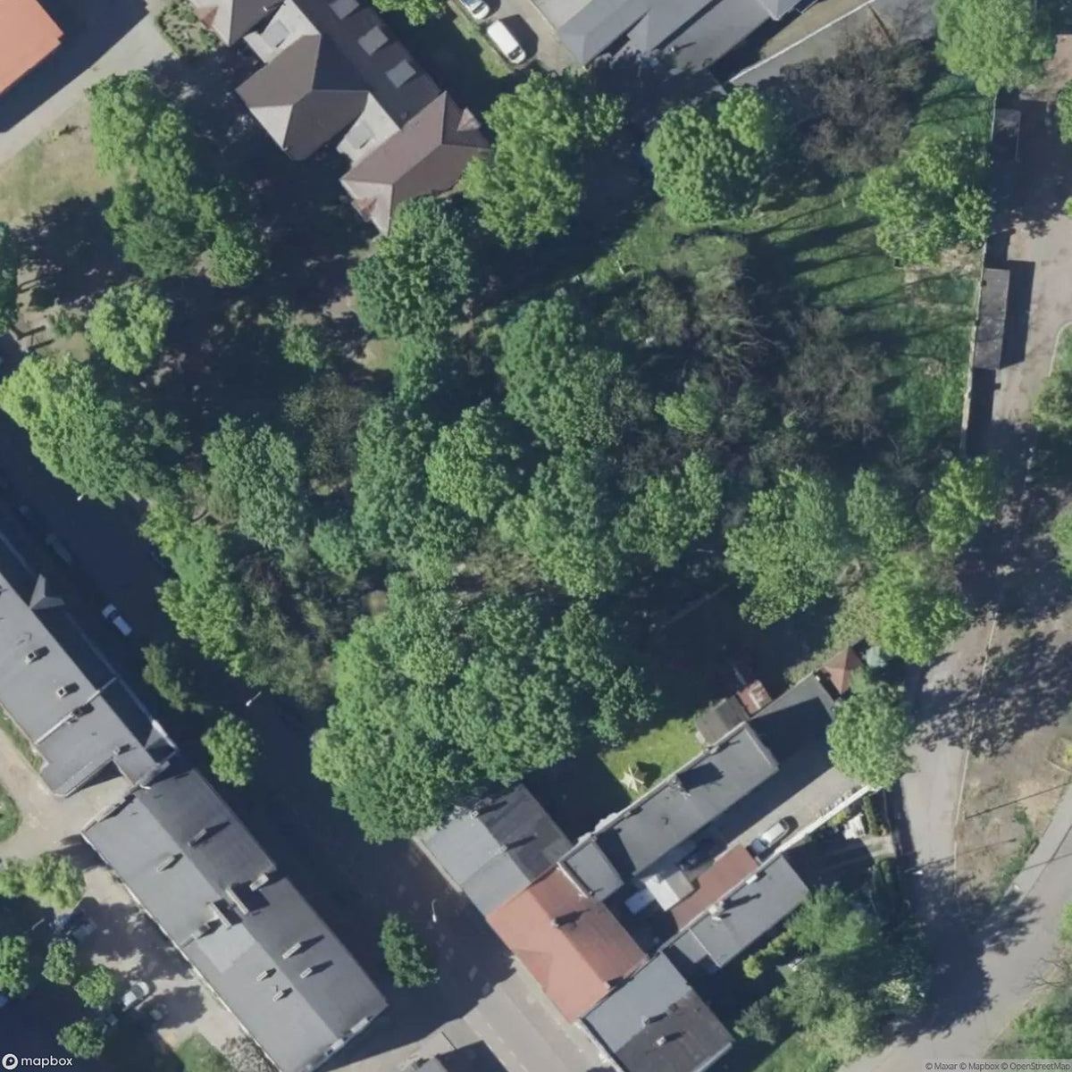 Historic Cemetery Cmentarz Zydowski [POL] #2063