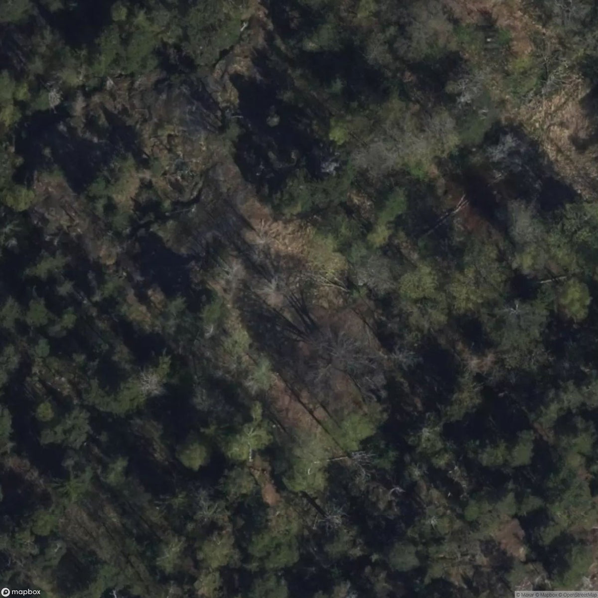 Tree Houses [FIN] #33654