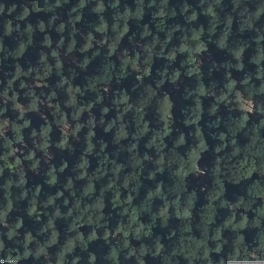 Windstein Artillery Casemate [FRA]