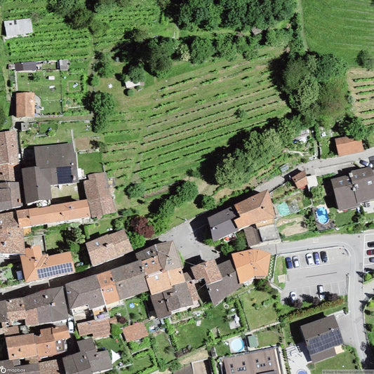 House Curio TI [CHE]