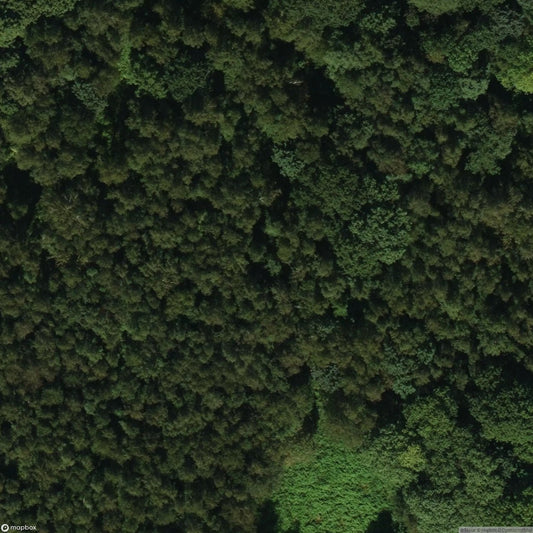 Beusdael House [BEL]