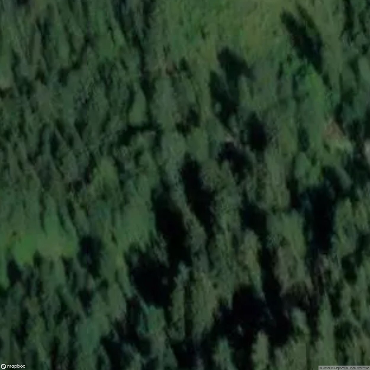 Tunnel Zitteraal [AUT]