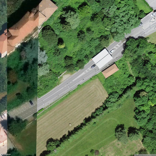 Mono Orphanage [ITA]