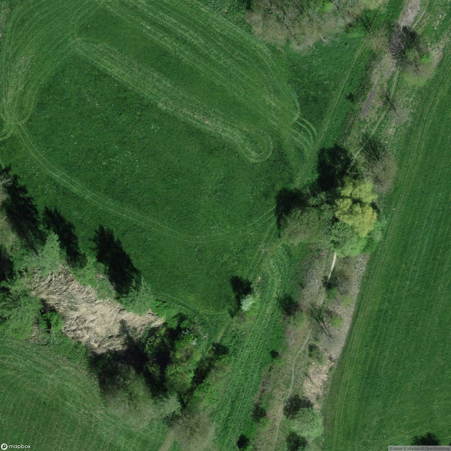 Tree Nursery Roggwil Be [CHE] #04884