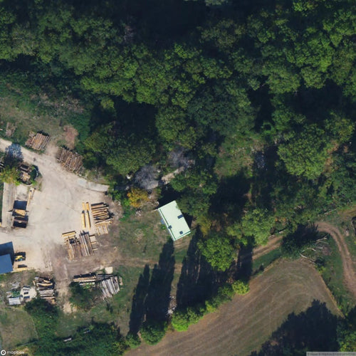 Zoo Ruins [LUX] #14103