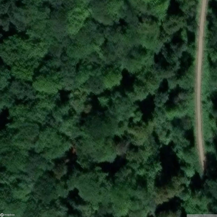 Lady Park Wood Iron Mines [GBR] #05967