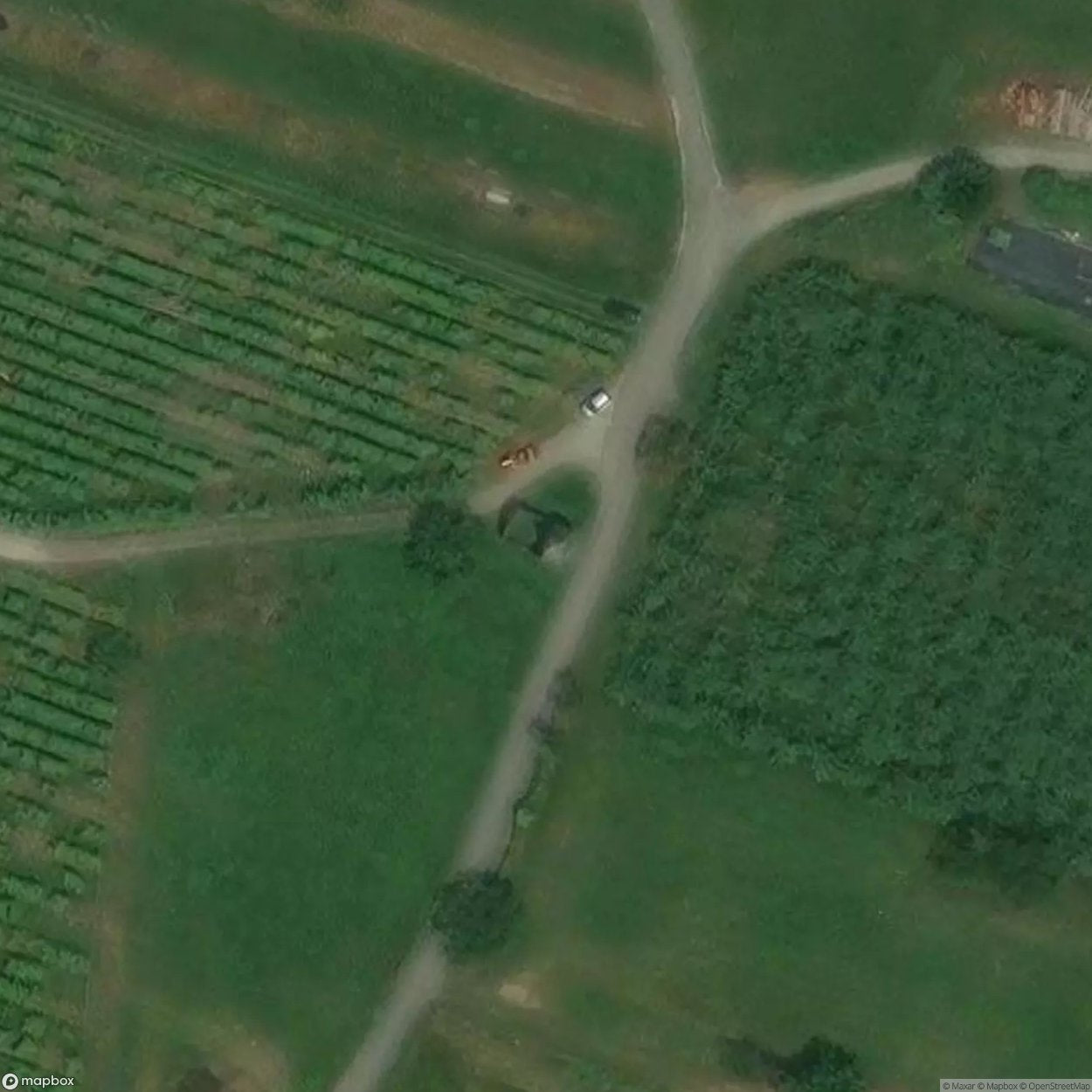 Oratory of Piverone [ITA]