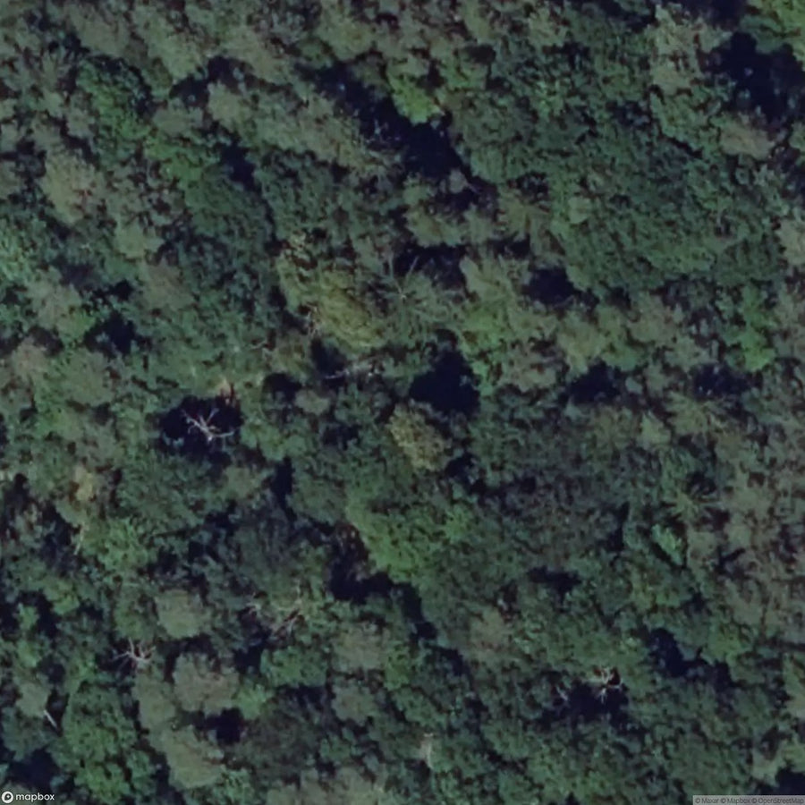 Casemate de Grafenweiher Ouest (Mil. Bunker) [FRA] #450