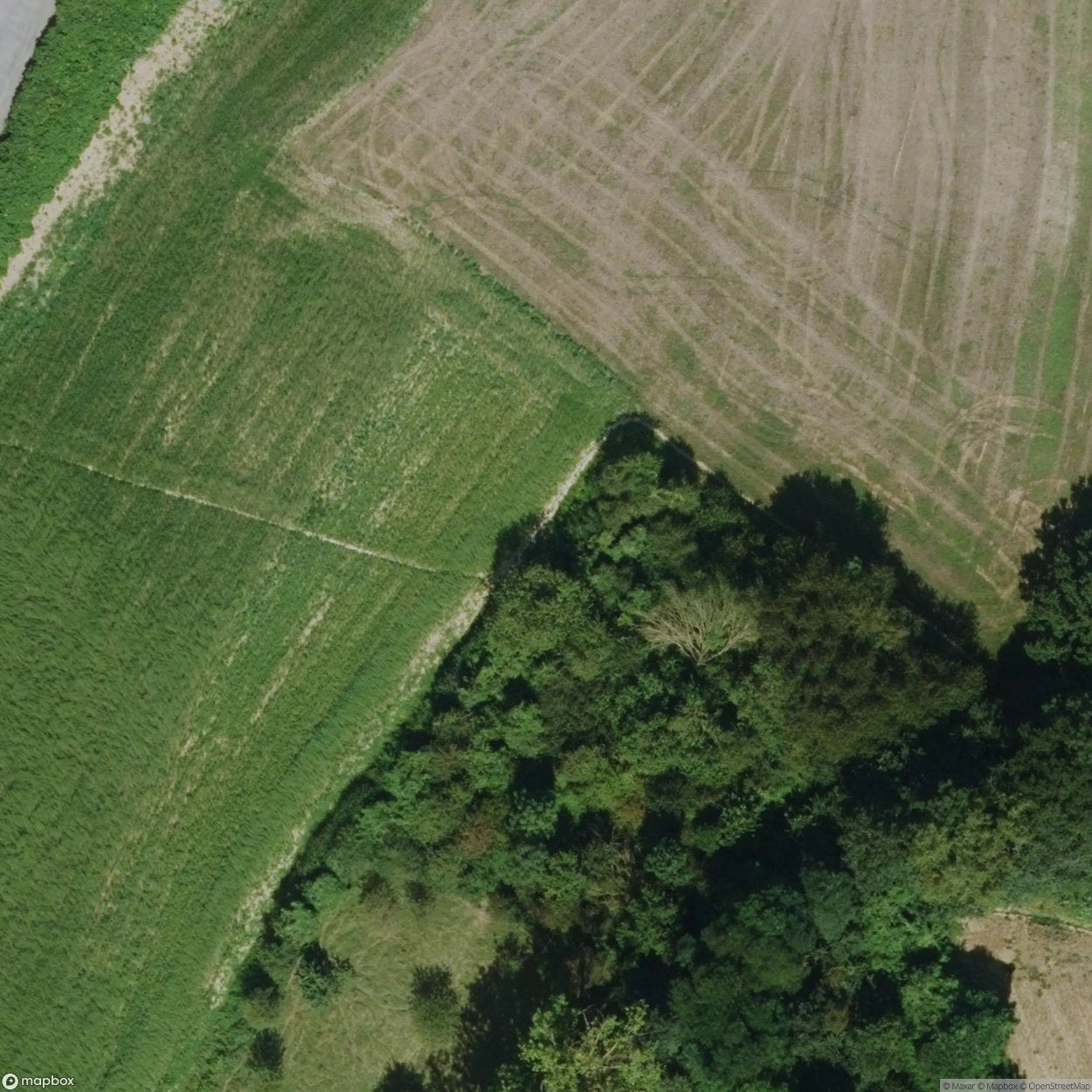 Bunker STEIL908 [BEL]