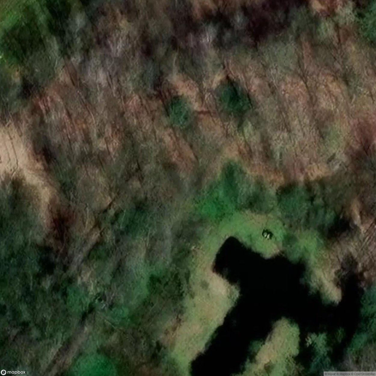 Goorhoof Castle [BEL]