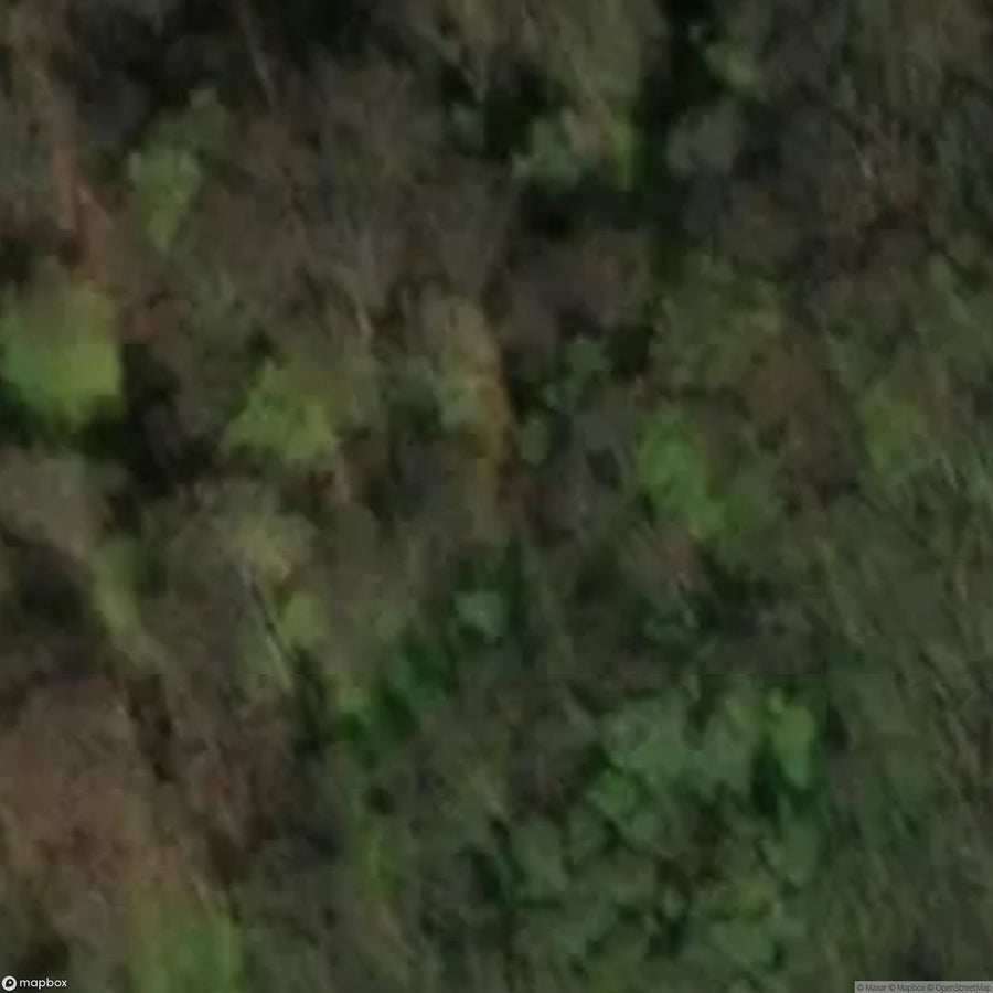 Historic Cemetery Pseudo Megalithic Cemetery Dohn [POL] #2030