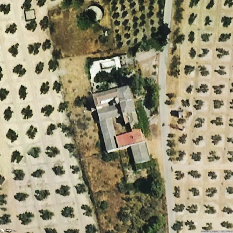 Aband Cortijo From Of Millionaire People [ESP] #21022