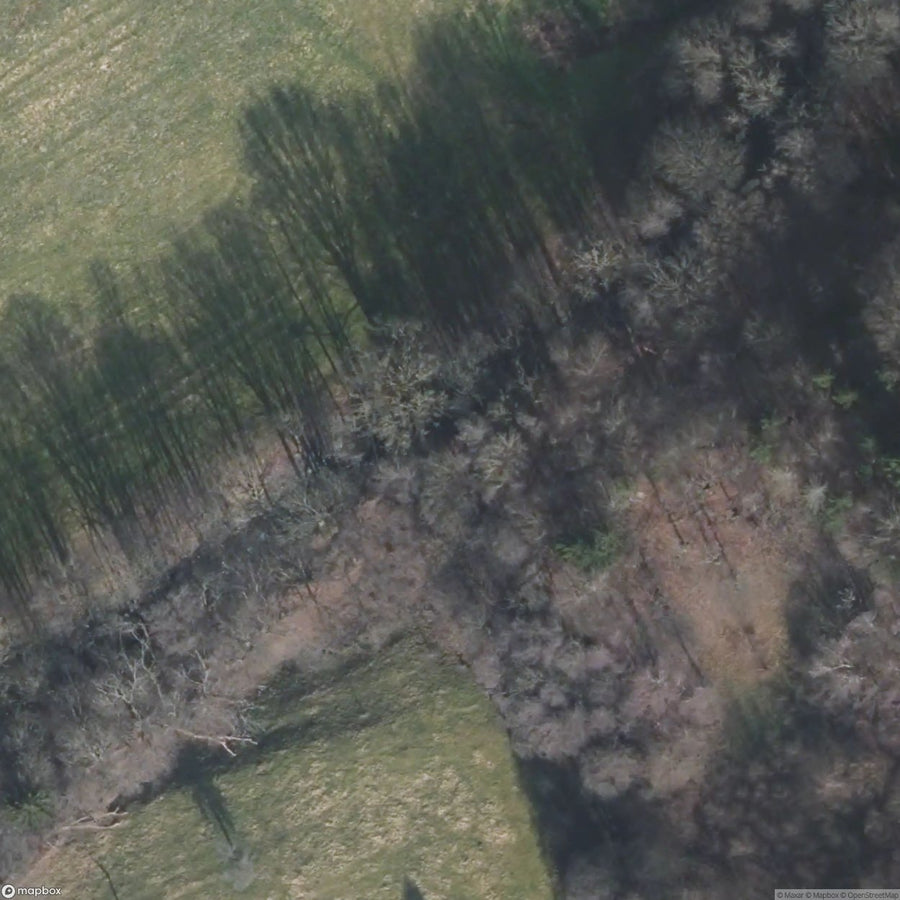 Hurtgen Forest Siegfried Line Bunker [DEU] #16352