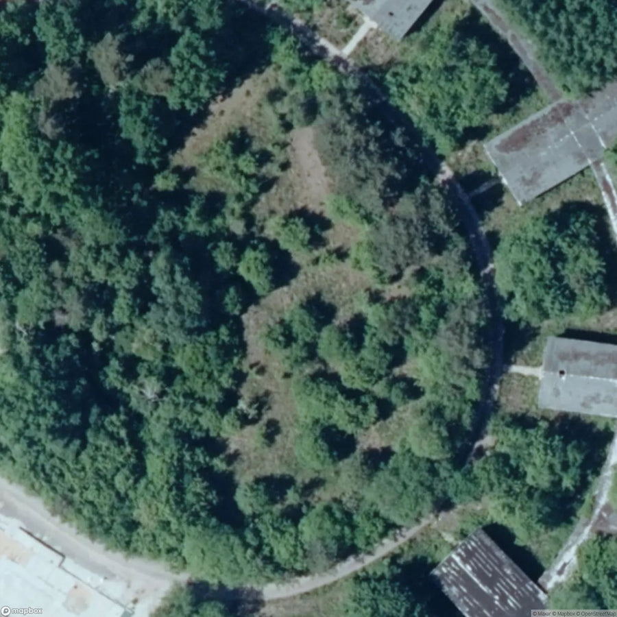 Forest Hospital [DEU] #15344