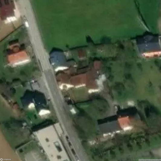 Shoemaking Shop 1555 [AUT]