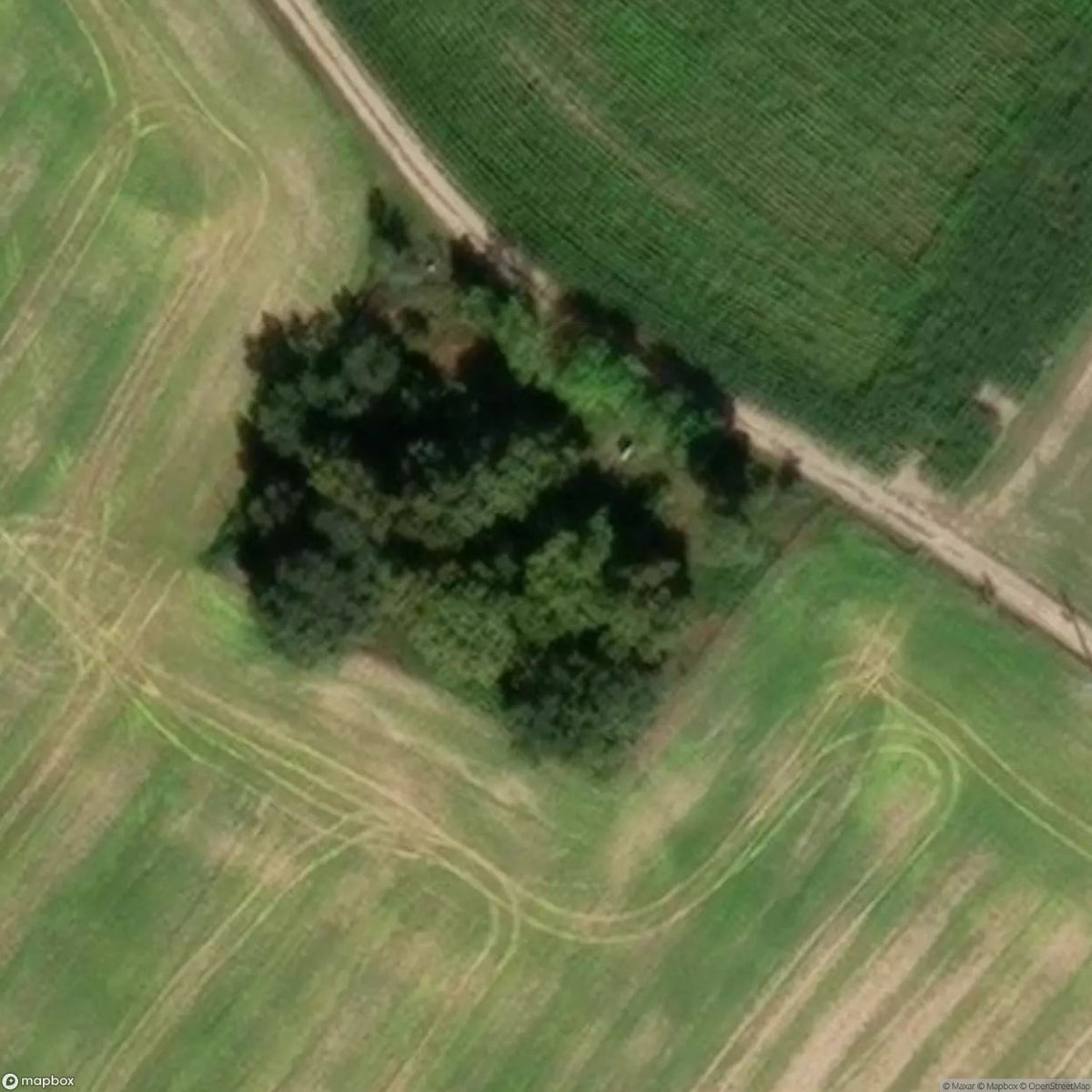 Historic Cemetery Evangelical Cemetery Zabno [POL] #2039