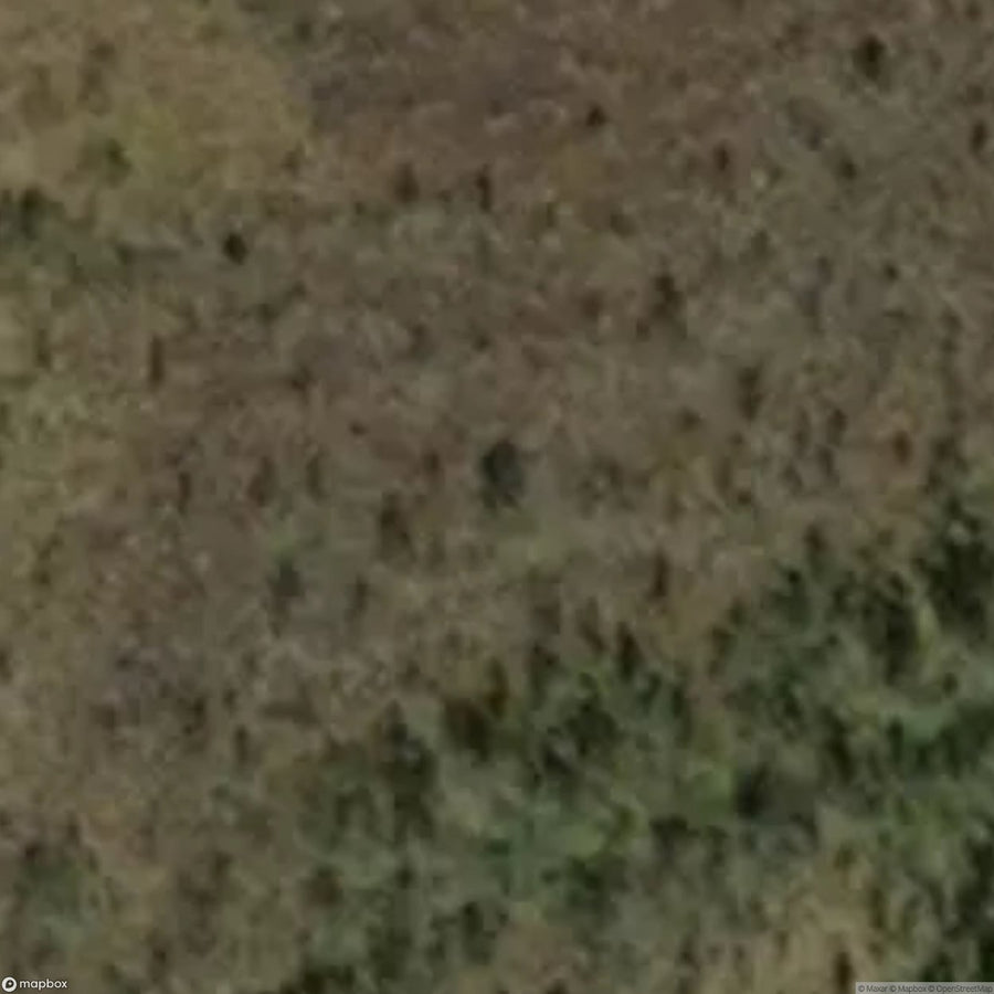 Woods Scar [FIN] #01985