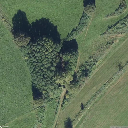 Historical Cemetery of Caronno Corbellaro [ITA]