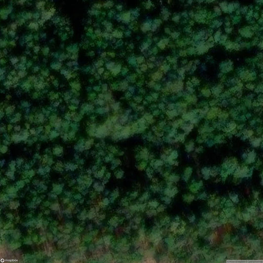 Chalet White SpiderV [BEL]