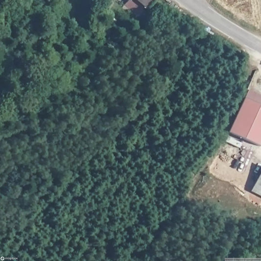 House Vincent France [FRA]