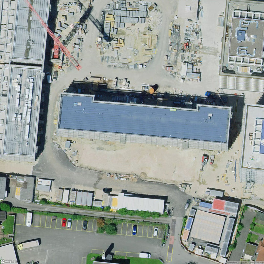 Factory Yew Trees [CHE] #05467