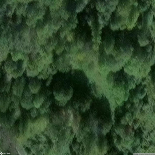 Würgengel Mine [DEU]