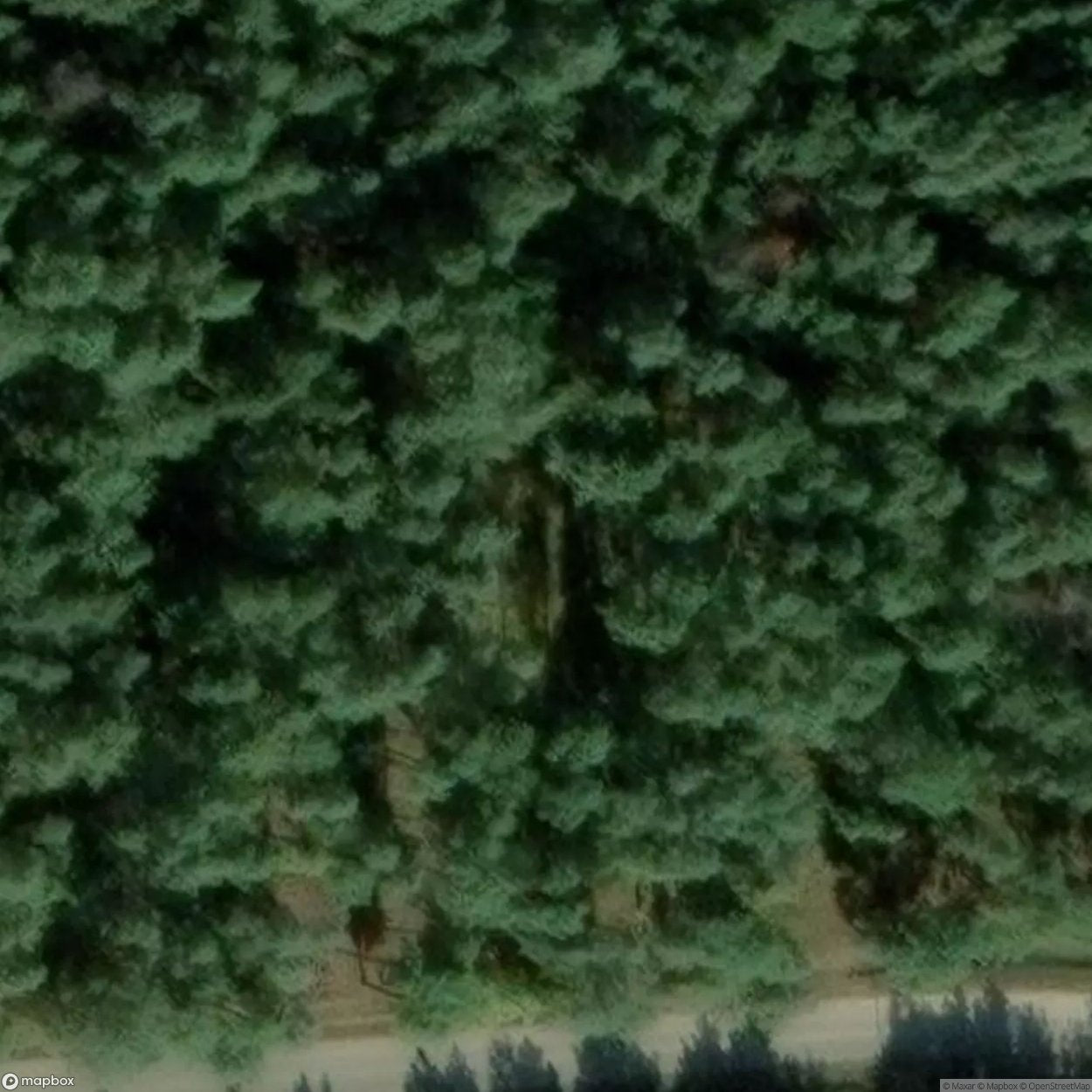 Biedrusko Polygon Site [POL] #33321